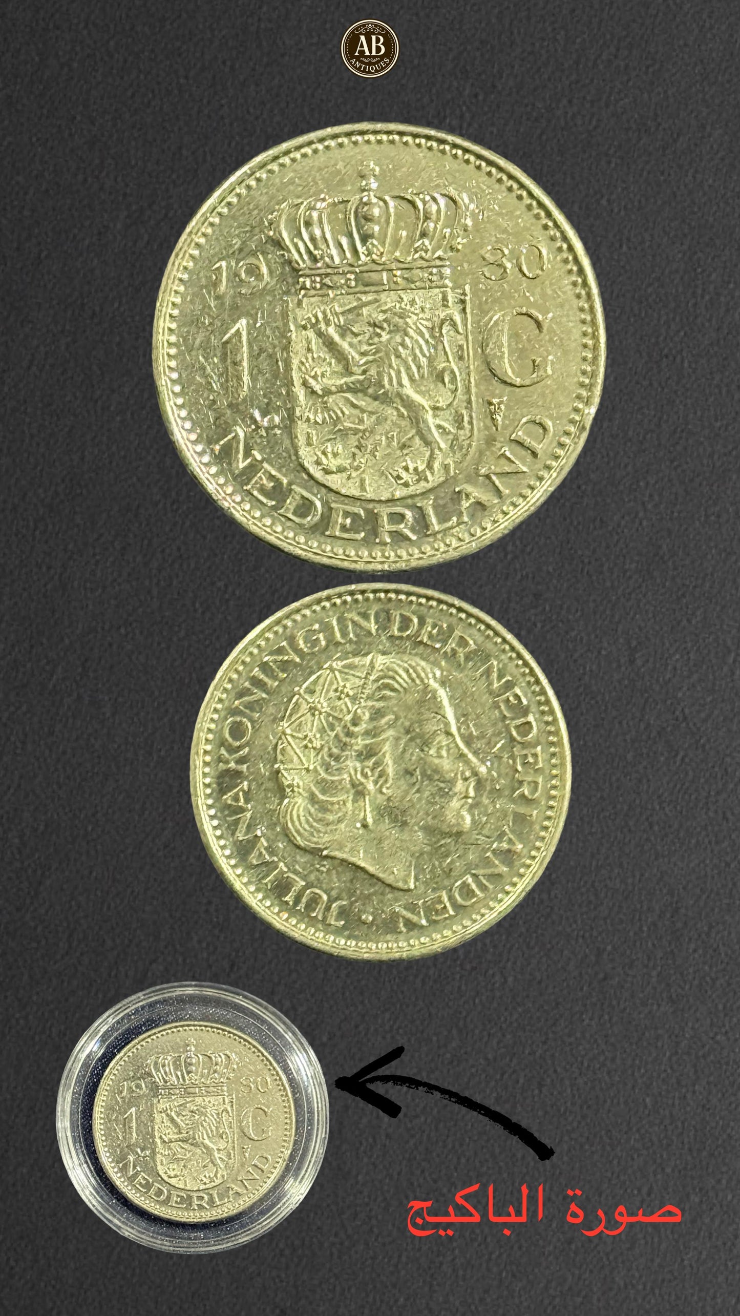 1 Gulden (1 Guilder) coin from the Netherlands, dated 1980.